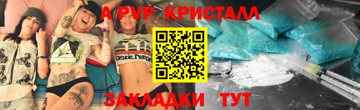 Альфа ПВП СК КРИС Сыктывкар