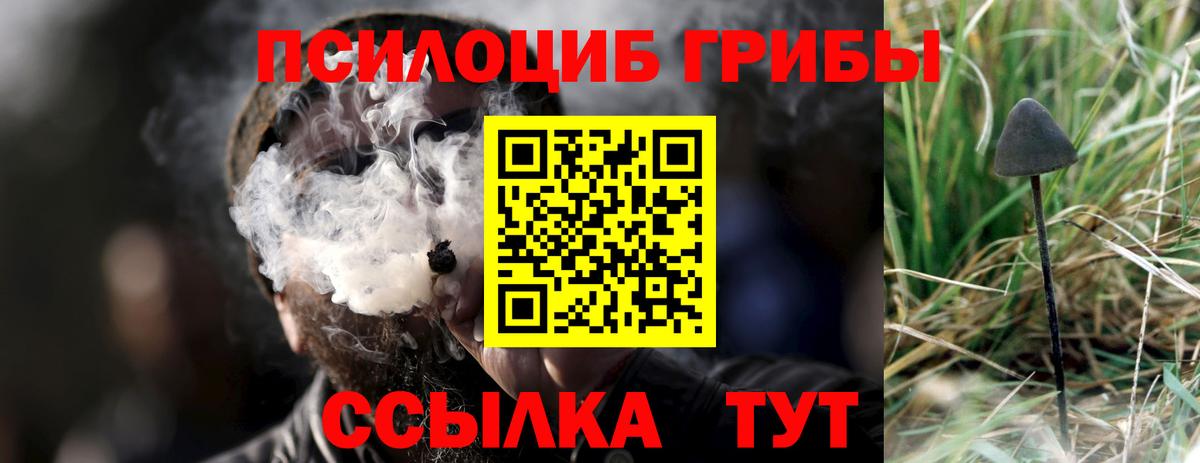 Сыктывкар  Псилоцибиновые грибы мухоморы  Вход с VPN 